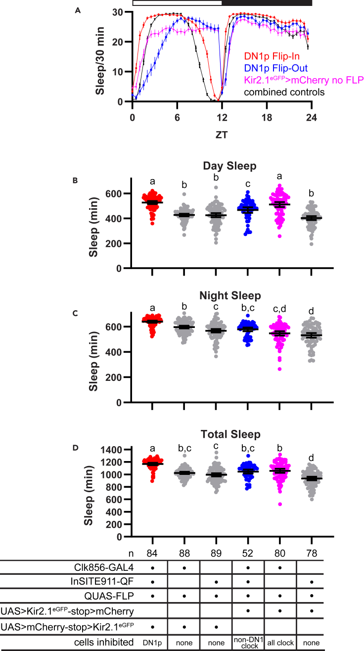 Figure 6