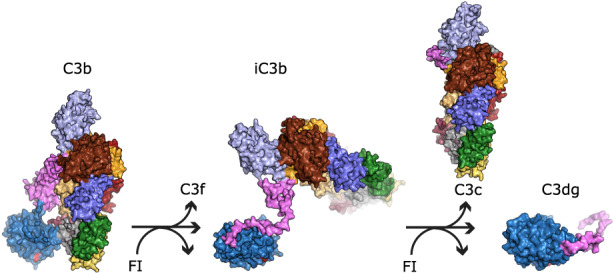 FIGURE 4