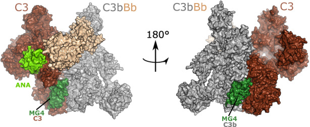 FIGURE 3