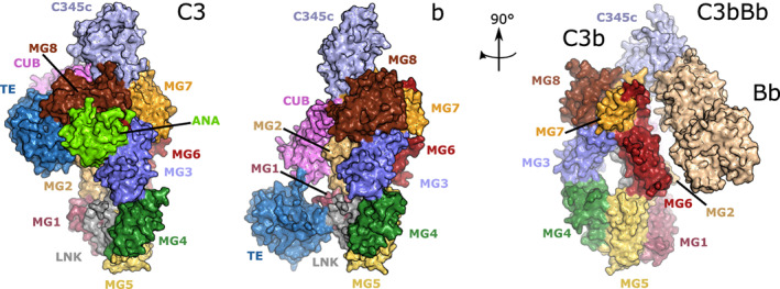 FIGURE 2