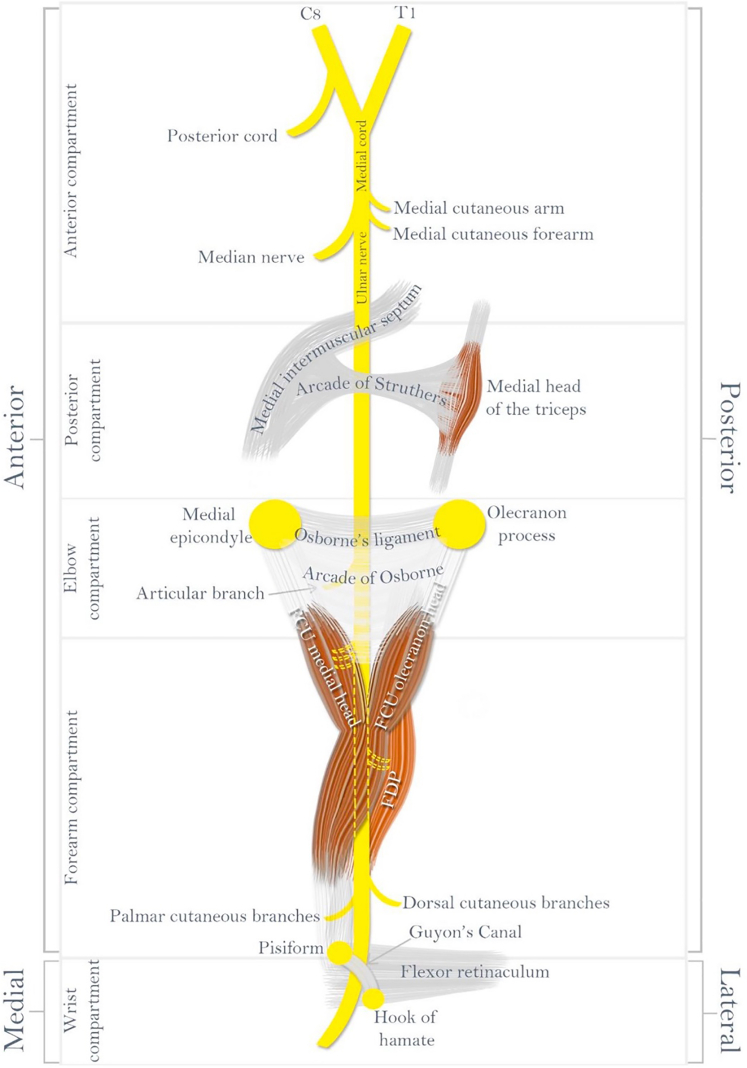 Figure 4