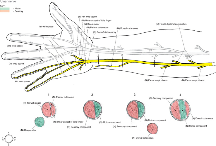 Figure 5