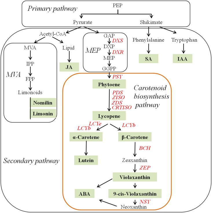 Fig 1