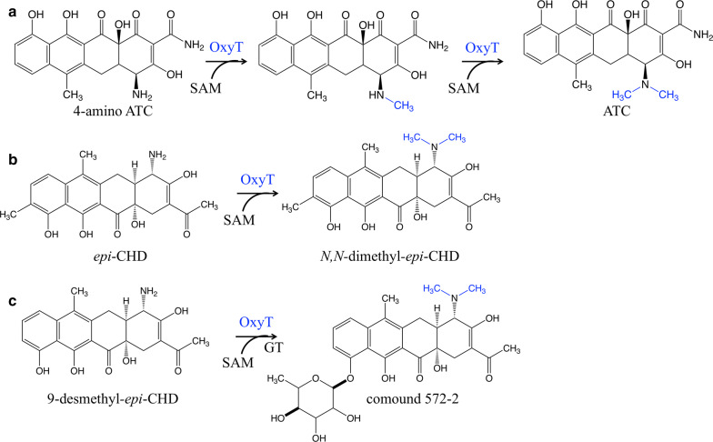 Fig. 4