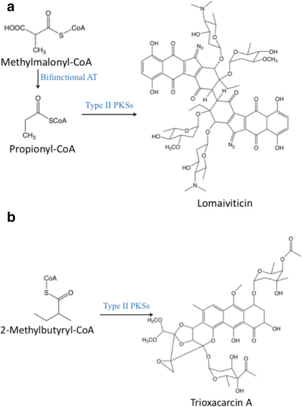 Fig. 2