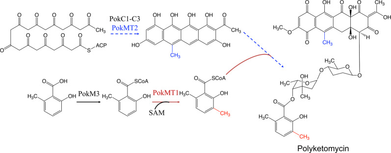 Fig. 3