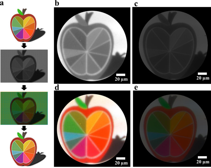 Fig. 4