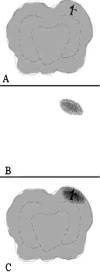 Fig. 2