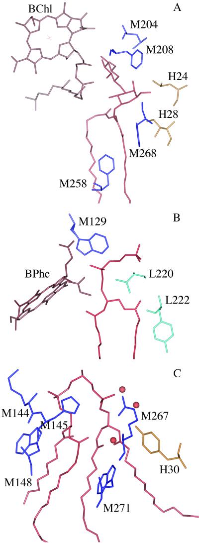 Fig 3.