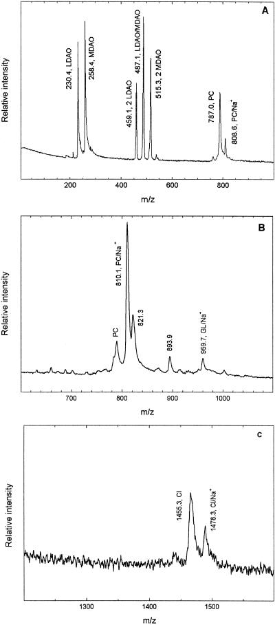 Fig 2.