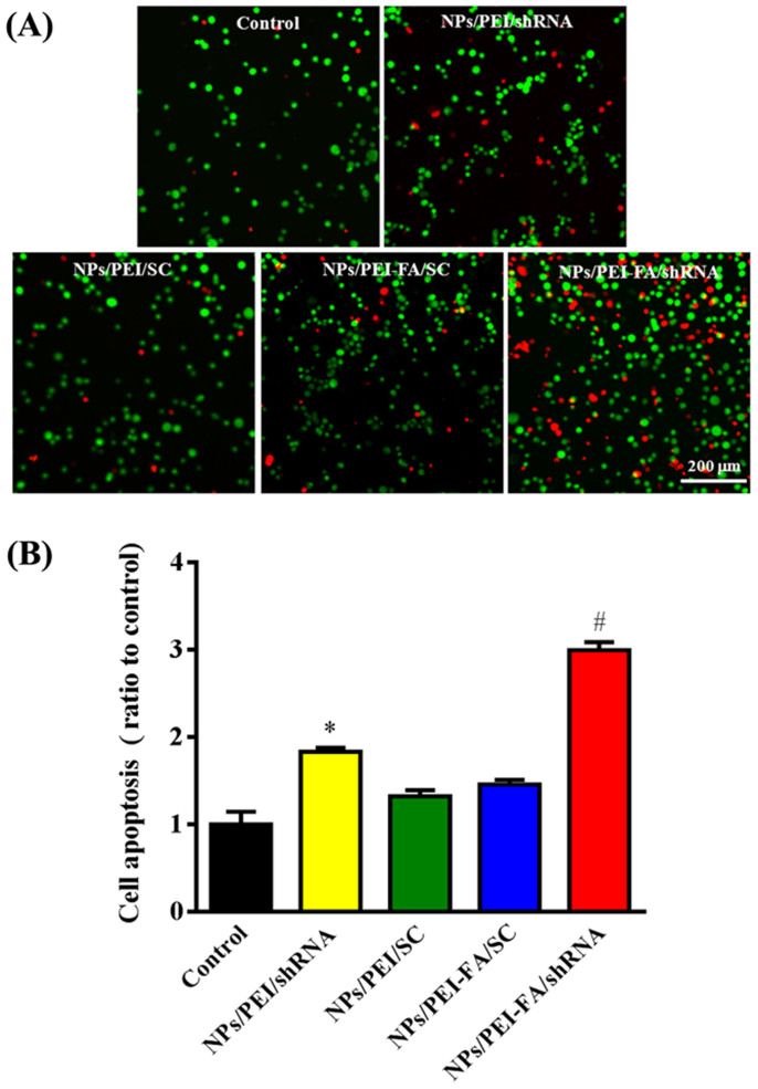 Figure 12