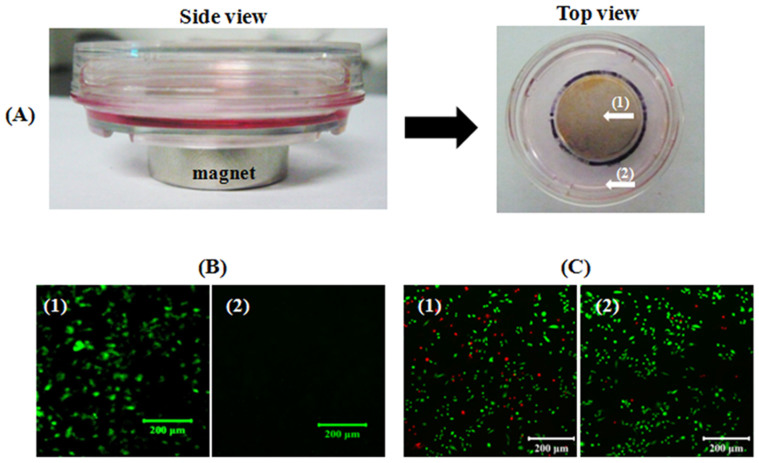 Figure 13