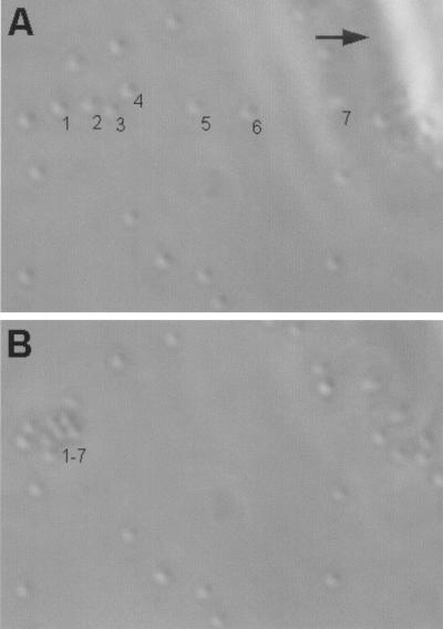 FIG. 5.