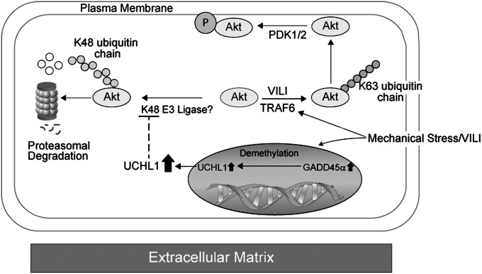 Figure 10.