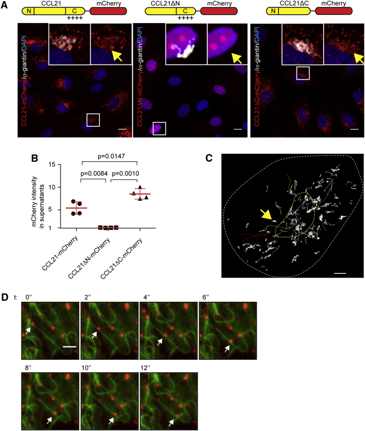 Figure 2