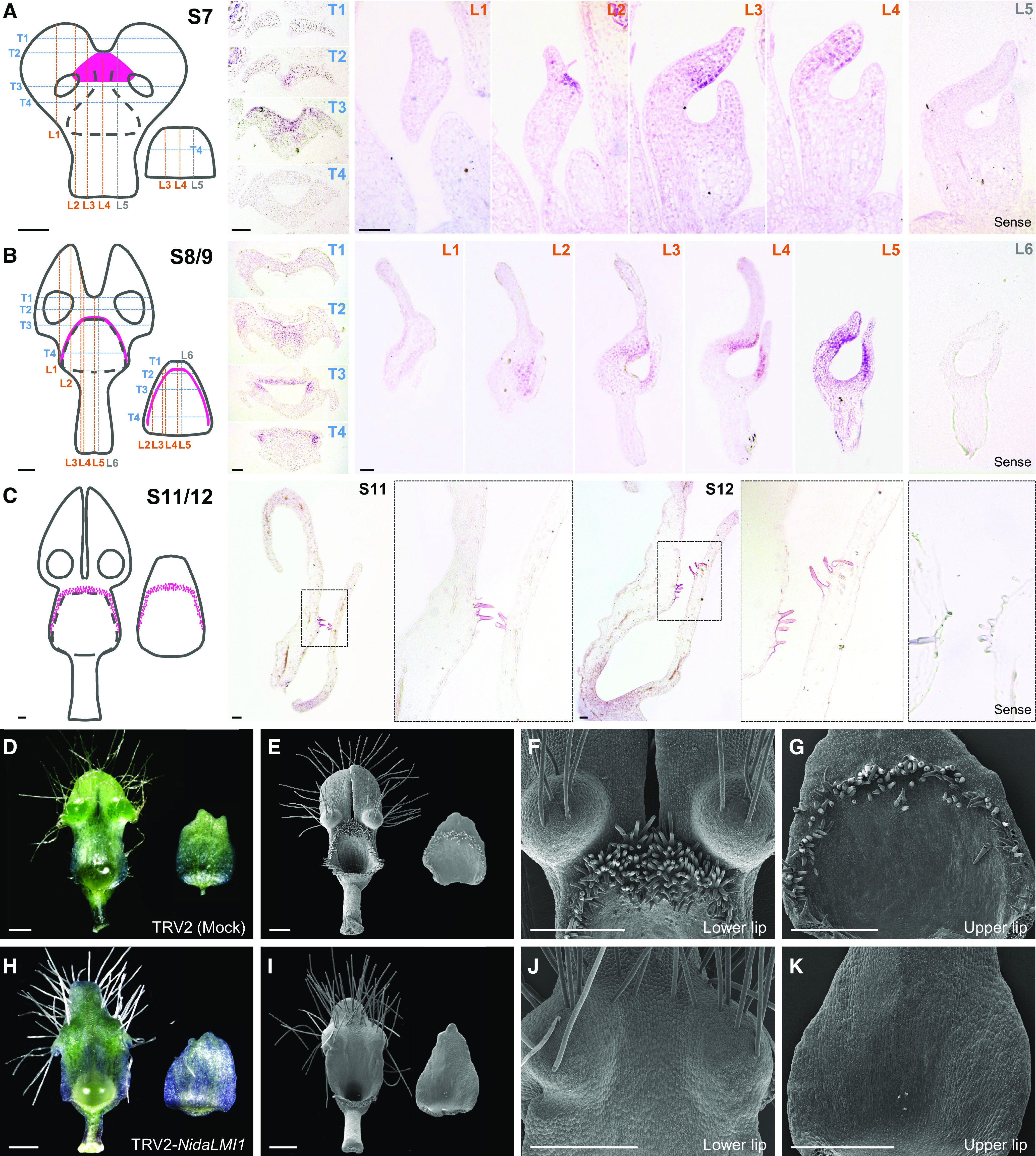 Figure 6.