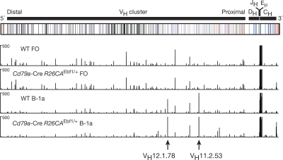 Figure 10.