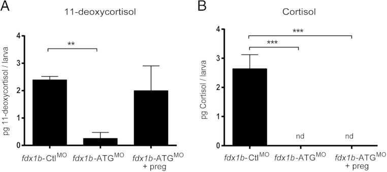 Figure 7.