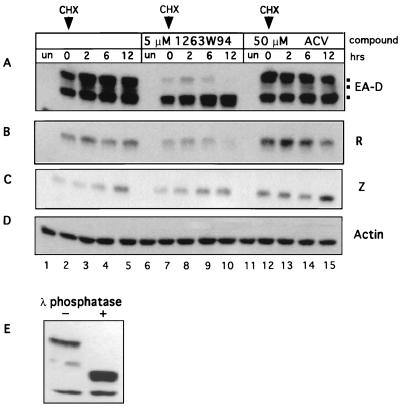 FIG. 6