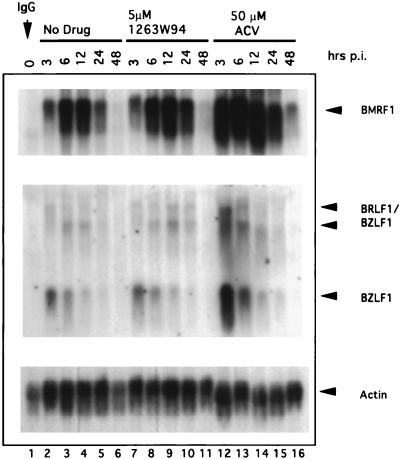 FIG. 5