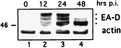 FIG. 8