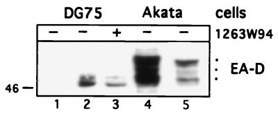 FIG. 7