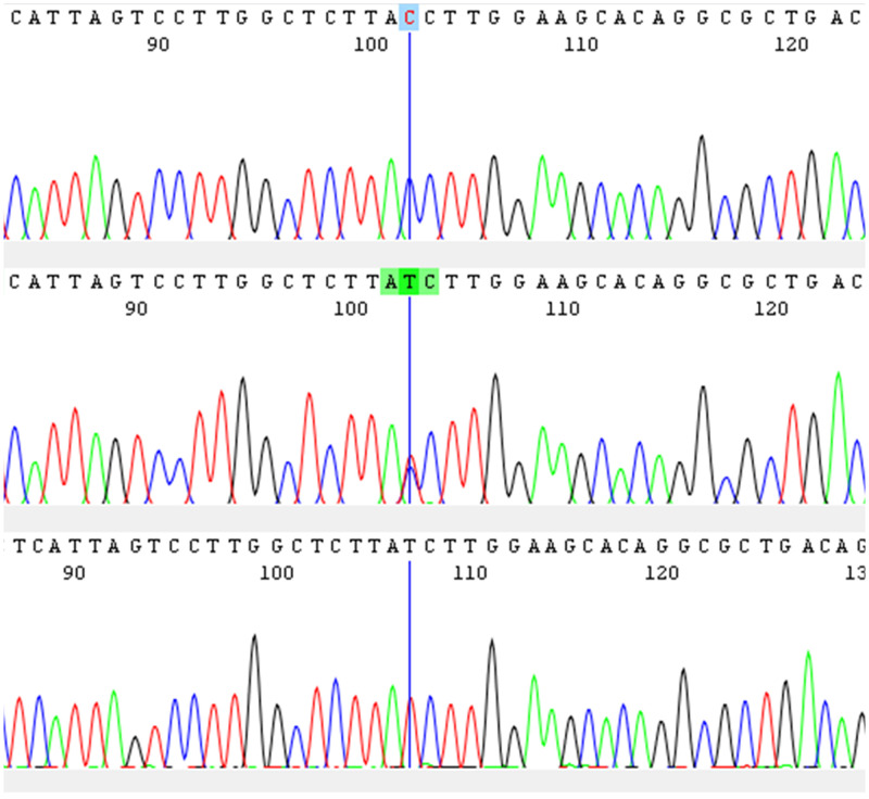 Figure 2.