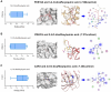 Binding interactions for three enzymes with caffeoylquinic acids are shown. Panel A: PDE10A with 3,4-O-dicaffeoylquinic acid (-7.96 kcal/mol). Panel B: PRKCG with 3,5-O-dicaffeoylquinic acid (-7.37 kcal/mol). Panel C: CAR3 with 4,5-O-dicaffeoylquinic acid (-7.40 kcal/mol). Each panel displays a binding affinity box plot, a molecular surface interaction view, a protein-ligand interaction diagram, and a two-dimensional ligand interaction diagram.