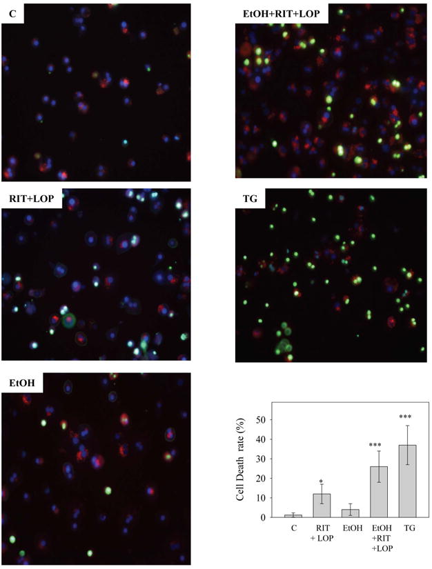 Figure 7