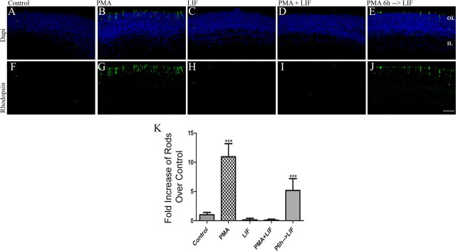 Figure 12.