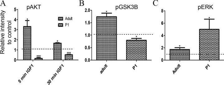 Figure 9.