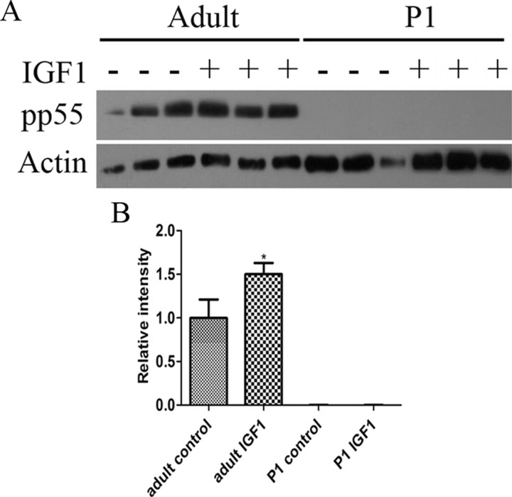 Figure 10.