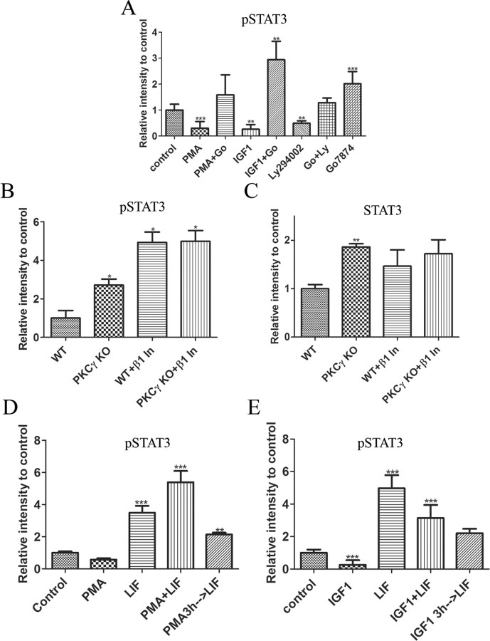 Figure 11.