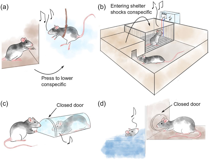 Figure 3: