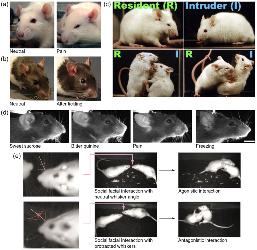 Figure 1: