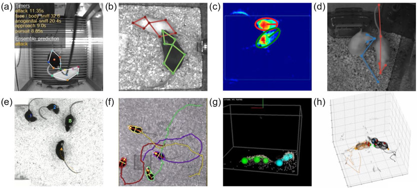 Figure 4: