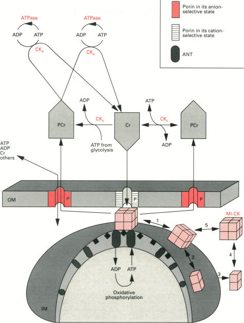 Fig. 3.