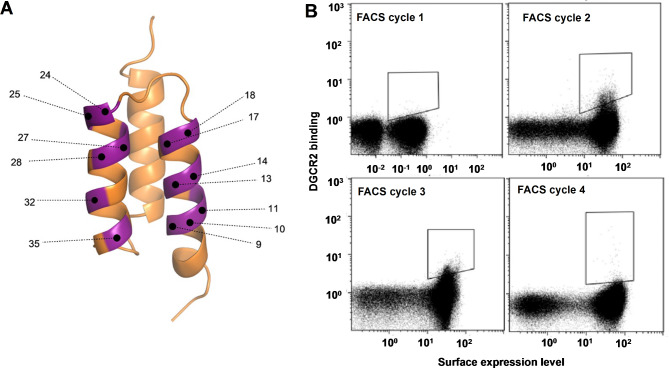 Fig. 3