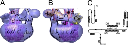 FIGURE 7.