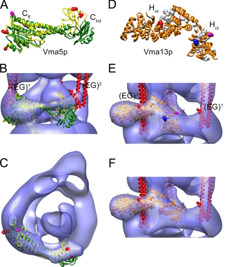 FIGURE 6.