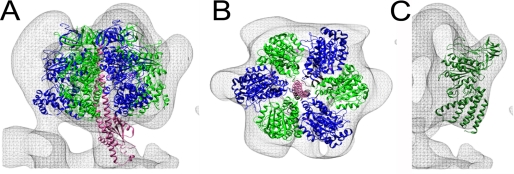 FIGURE 4.