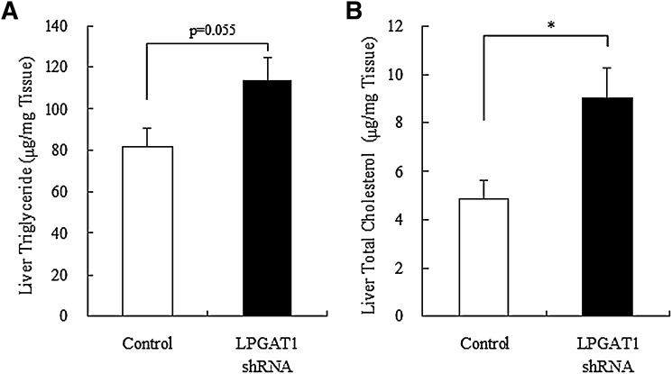 Fig. 9.