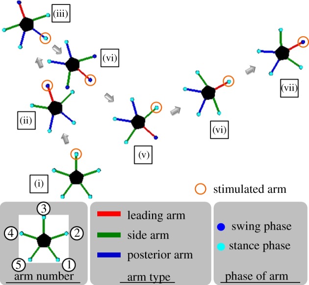 Figure 9.