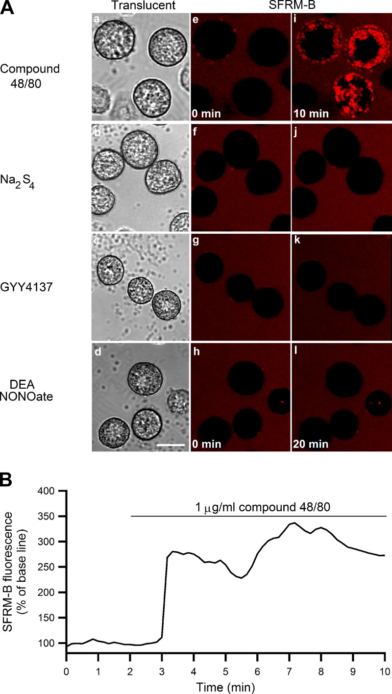 Fig. 8.