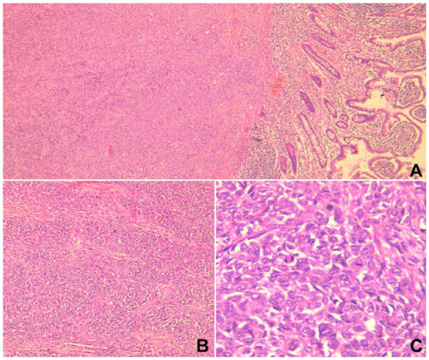 Figure 3.