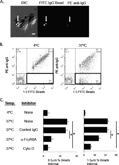 FIG. 3.