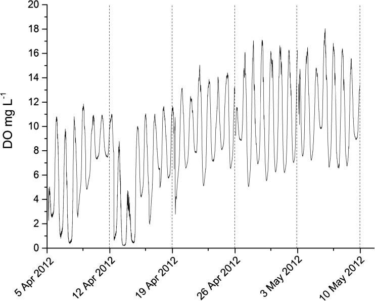 Fig. 1