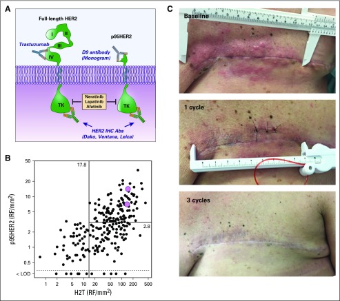 FIG 3.