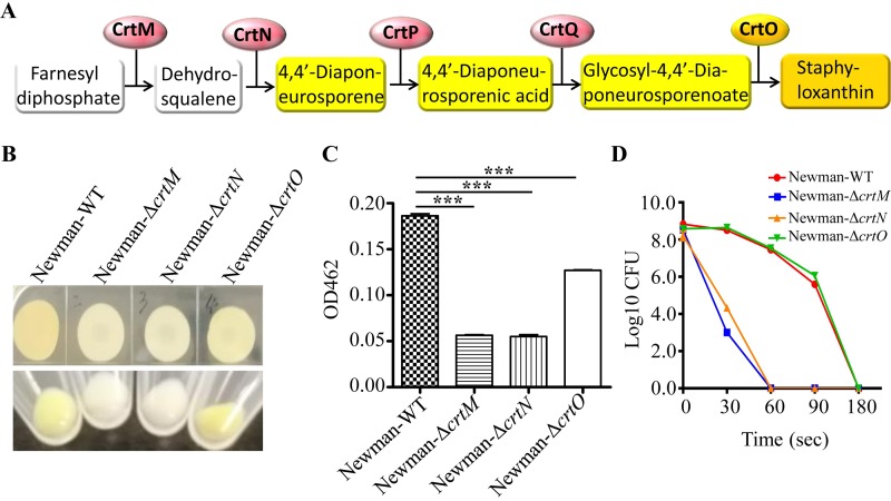 FIG 4