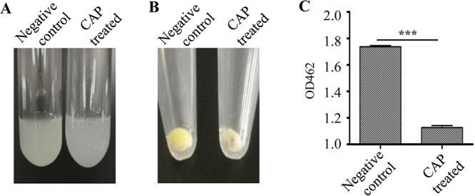 FIG 3